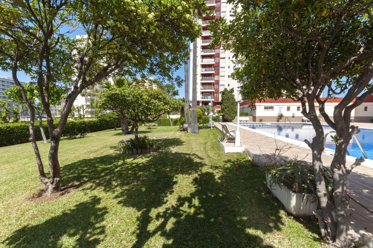Apartmán Ag Aquarium Playa de Gandia Exteriér fotografie