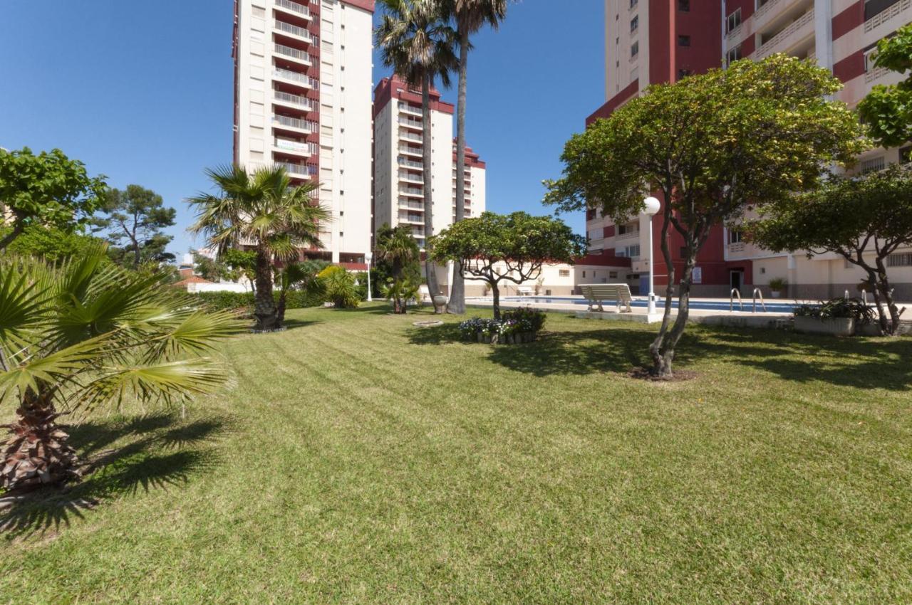 Apartmán Ag Aquarium Playa de Gandia Exteriér fotografie